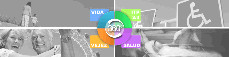 Asesor&iacute;a-360&ordm;